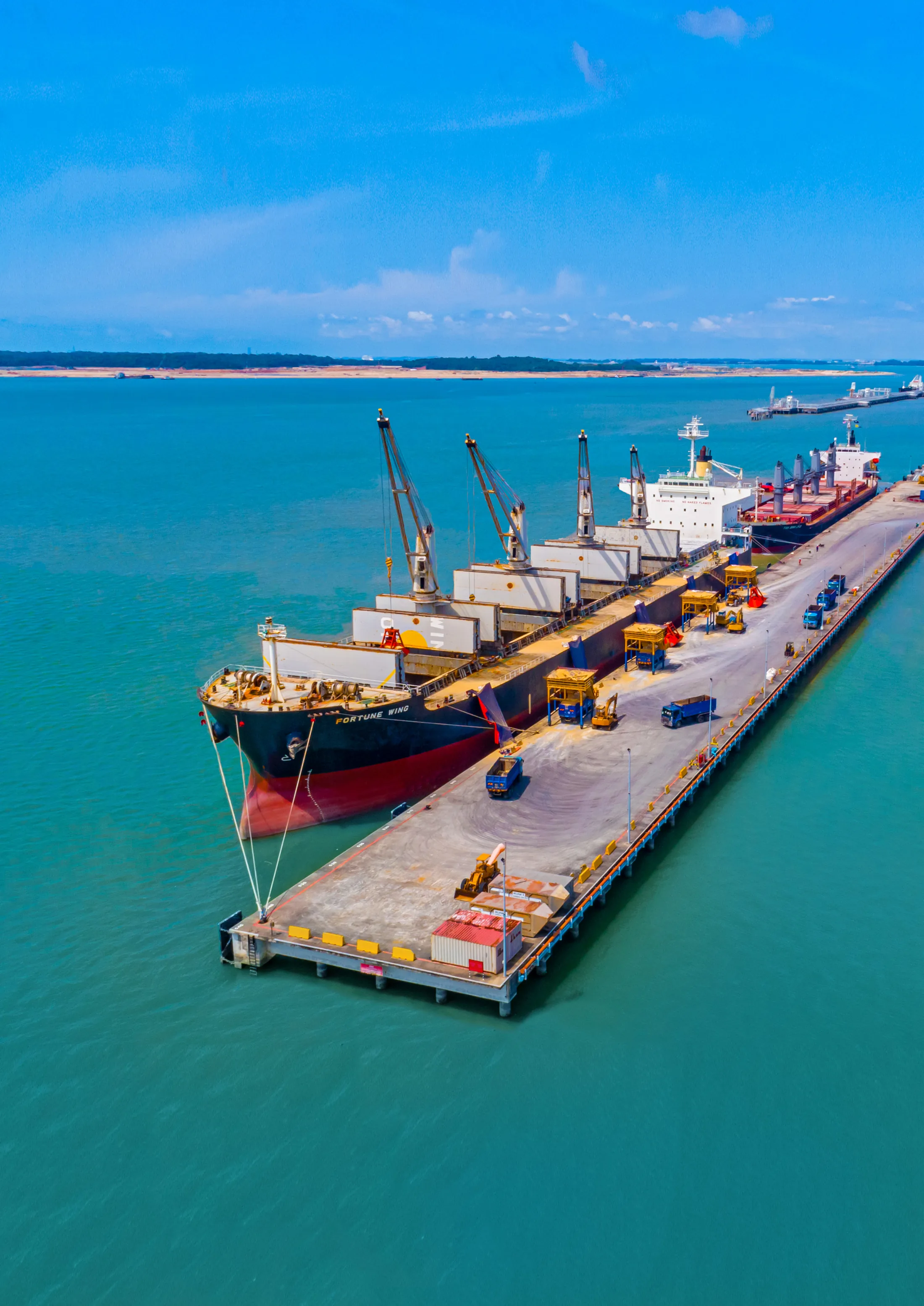 Bulk carrier alongside a multipurpose berth at Tanjung Langsat Port